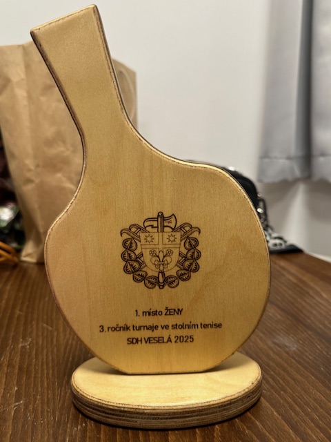 Turnaj ve stolním tenise